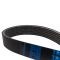 Serpentine Belt