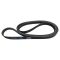 Serpentine Belt