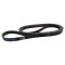 Serpentine Belt