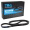 Serpentine Belt