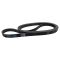 Serpentine Belt