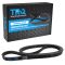 Serpentine Belt
