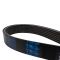 Serpentine Belt