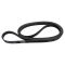 Serpentine Belt