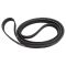 Serpentine Belt