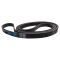 Serpentine Belt