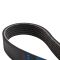 Serpentine Belt