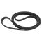 Serpentine Belt