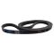 Serpentine Belt