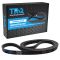Serpentine Belt