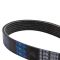 Serpentine Belt