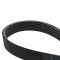 Serpentine Belt