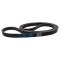 Serpentine Belt