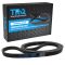 Serpentine Belt