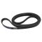 Serpentine Belt