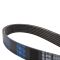 Serpentine Belt