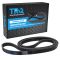 Serpentine Belt