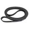 Serpentine Belt