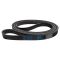 Serpentine Belt