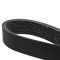 Serpentine Belt