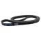 Serpentine Belt