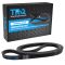 Serpentine Belt