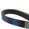 Serpentine Belt