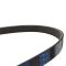 Serpentine Belt