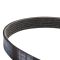 Serpentine Belt
