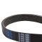Serpentine Belt