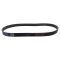 Serpentine Belt