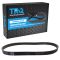 Serpentine Belt
