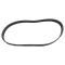 Serpentine Belt