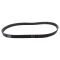Serpentine Belt