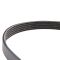 Serpentine Belt