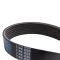 Serpentine Belt