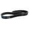 Serpentine Belt