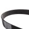 Serpentine Belt