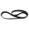 Serpentine Belt