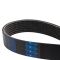 Serpentine Belt