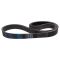Serpentine Belt