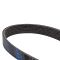 Serpentine Belt