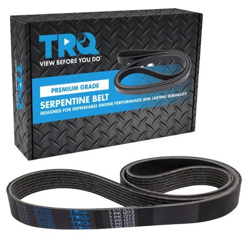 Serpentine Belt