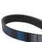 Serpentine Belt