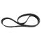 Serpentine Belt