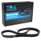 Serpentine Belt