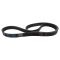 Serpentine Belt