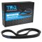 Serpentine Belt