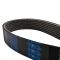 Serpentine Belt