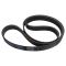 Serpentine Belt